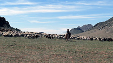 Mongolia-Gobi Steppe-Eastern Gobi Trail